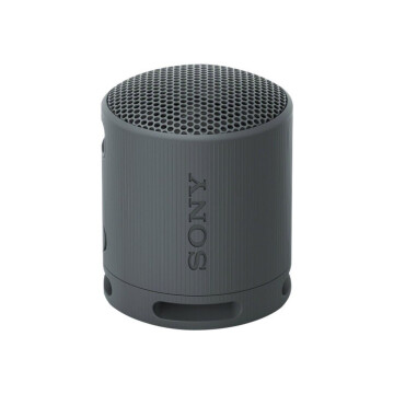 Sony SRS-XB100 Portable Wireless Speaker, Black